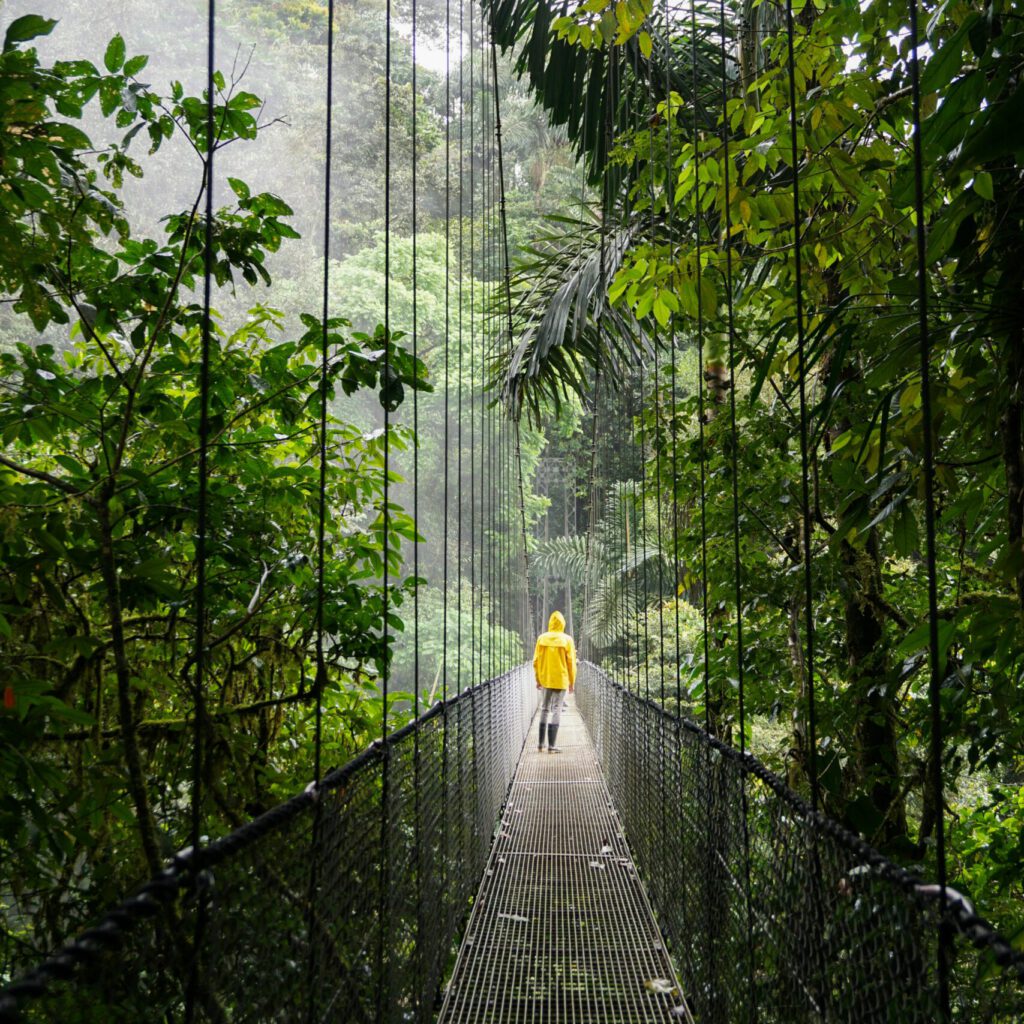 Person auf Hängebrücke im Jungel